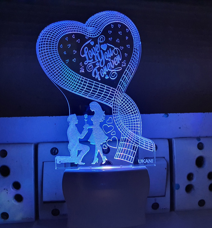 UKANI Picture Light Wall Lamp With Bulb