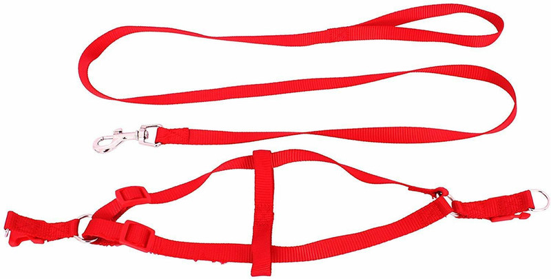 Emily Pets Adjustable Leash & Harness Set for Puppy & Small Breed Dog Harness & Leash(Small, Red)