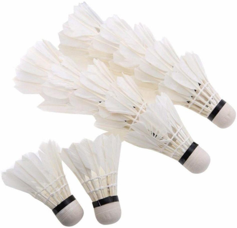 RoyalT Shuttle Cock Father Pack of 10pc Feather Shuttle  - White(Medium, 77, Pack of 10)