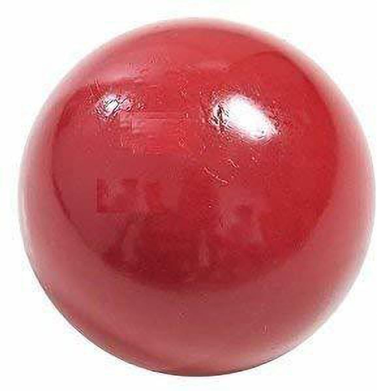 YMD 1 kg Shot Put(Sponge)