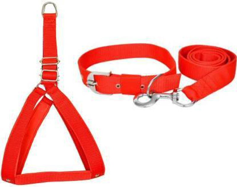 havish Dog Everyday Collar(Large, red)