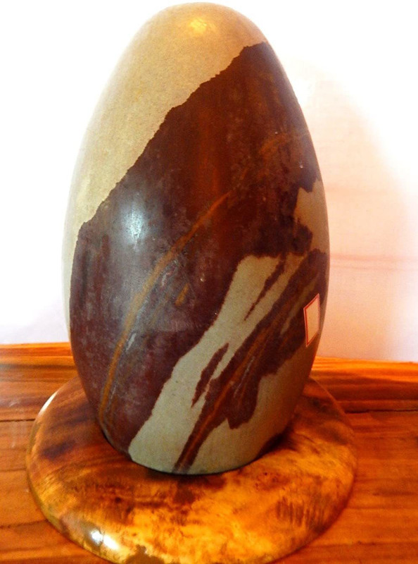 hoseki 100% Natural Nagahara Narmada Bana Linga 13.5 inch stone Regular Angular Crystal Stone(Multicolor 1 Pieces)