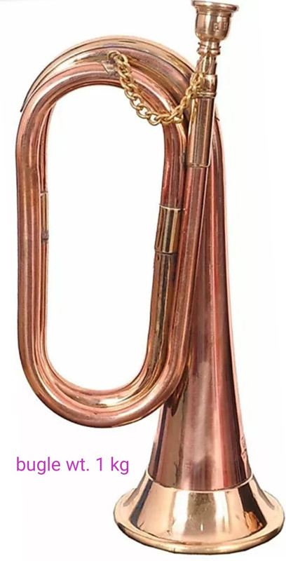 new jaibharat musicals Alto Bugle(Brown)