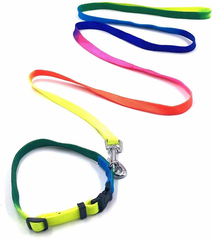 JSK 162 cm Dog Strap Leash(Multicolor)