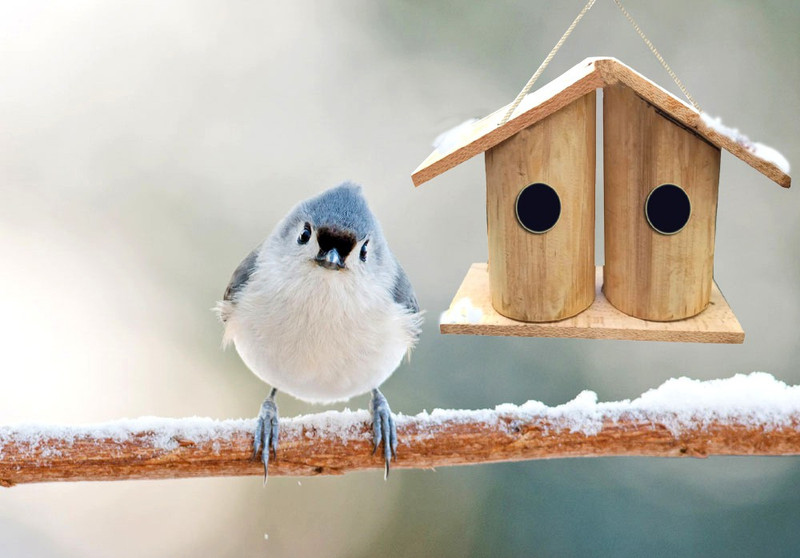 LIVEONCE Double House Bamboo Nest Bird House(Hanging, Wall Mounting, Tree Mounting, Free Standing)
