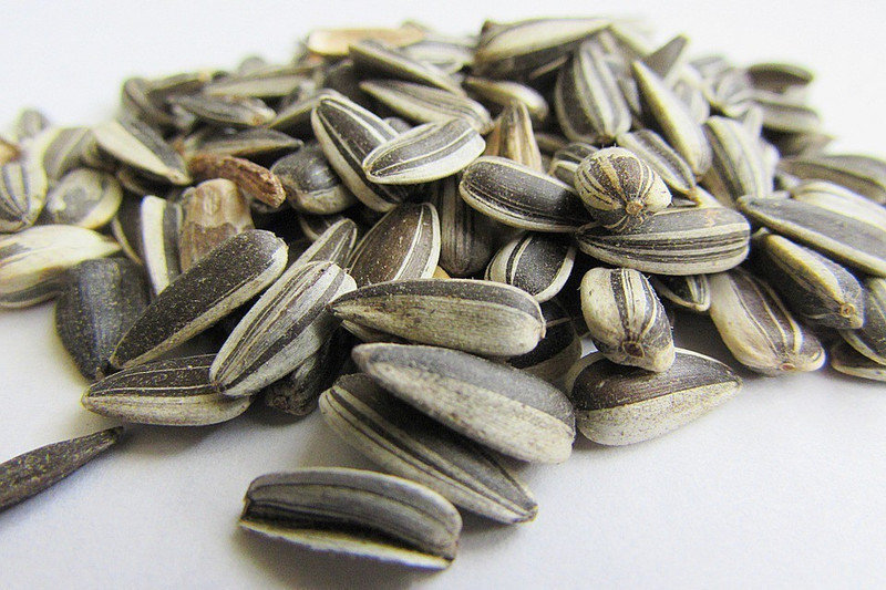 JJ FEEDS Sunflower seeds for birds,lovebirds Nuts 0.9 kg Dry Adult Bird Food