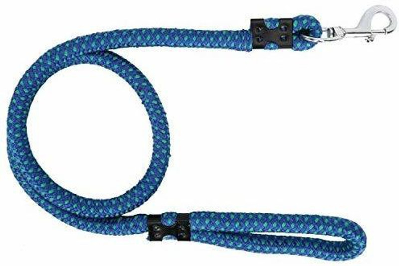 Quickato Round Designer Dog Belt/Leash Belt for All Breed Dogs Dog belt & Leash 150 cm Dog Cord Leash(Orange)