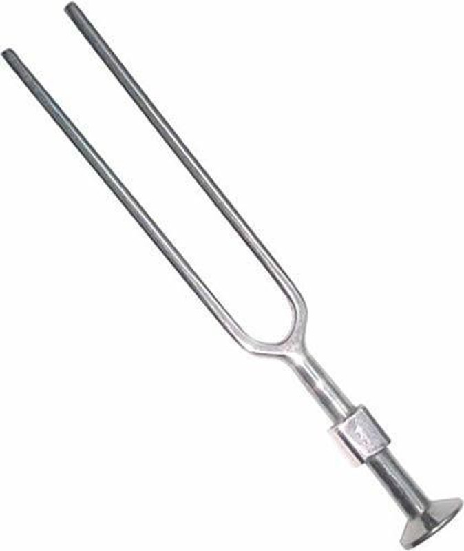 EUZA Stainless steel Tuning fork 256 Hz(ENT) Tuning Fork(256 HZ)