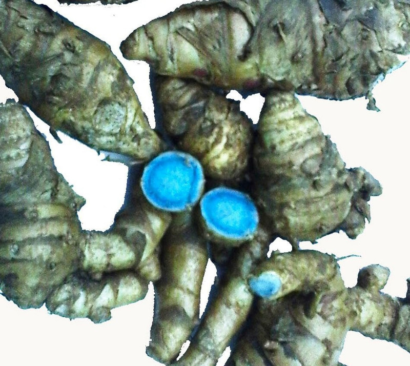 Cosmic Energy Black Turmeric Original/Nalla pasupu/Kali Haldi/Karu Manjal (100 gram) Seed(1 per packet)