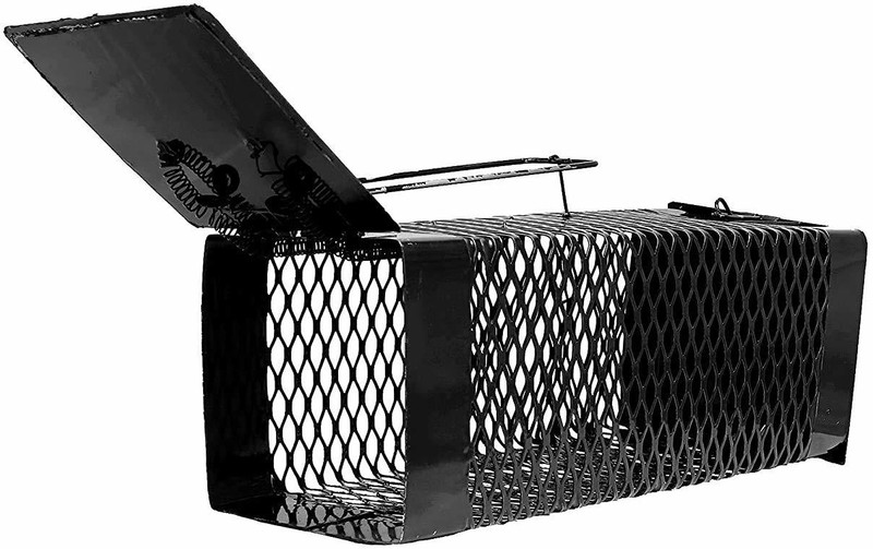 Waderworld Diamond Cut Design (22 X 8 X 1) Iron Rat/Mouse/Rodent Trap Cage/Catcher (Large) 5 PC Snap Trap
