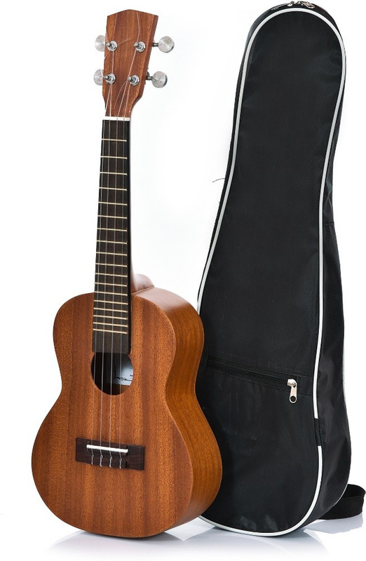 BLUEBERRY UK10 IN Concert Ukulele(Overall Length - 62 cm)
