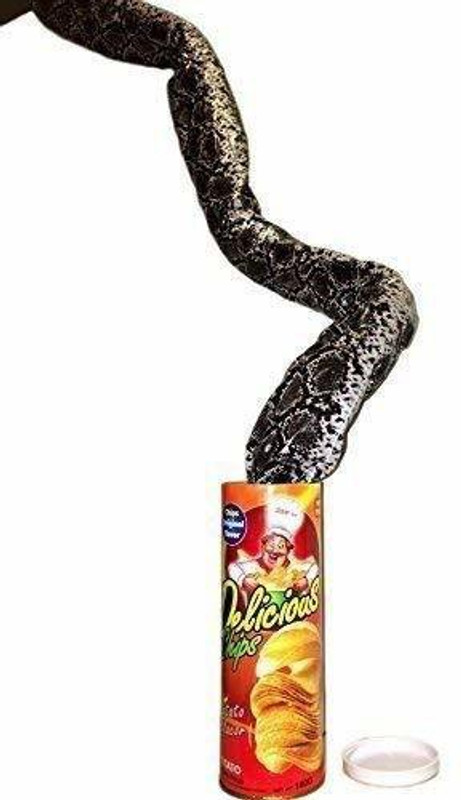 PTCMart Chip Potato Snake Jump Spring Snake Toy Gift April Fool Day Halloween Party Decoration Jokes in A Can Gag Gift Prank Large Size CHIPS (PACK OF 1) Magic Kit Gag Toy(Multicolor)