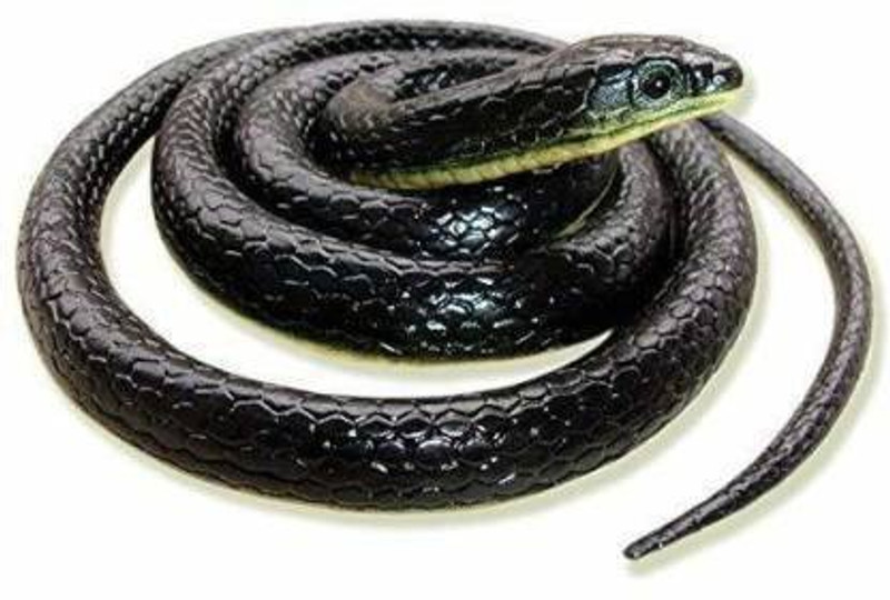ExaltedCollection Good Toys Gifts Rubber Snakes Prank Toy (Multi Colors, 28-inch) -Pack of 1 (Black) snake Gag Toy(Black)