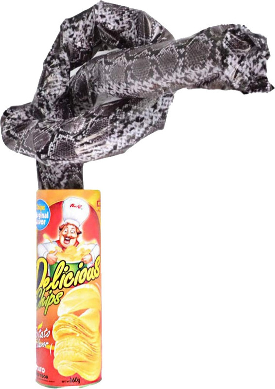 PTCMart Potato Chip Snake Can Jump Spring Snake Toy Gift April Fool Day Halloween Party Decoration Jokes in A Can Gag Gift Prank Large Size CHIPS (PACK OF 1) Magic Kit Gag Toy(Multicolor)