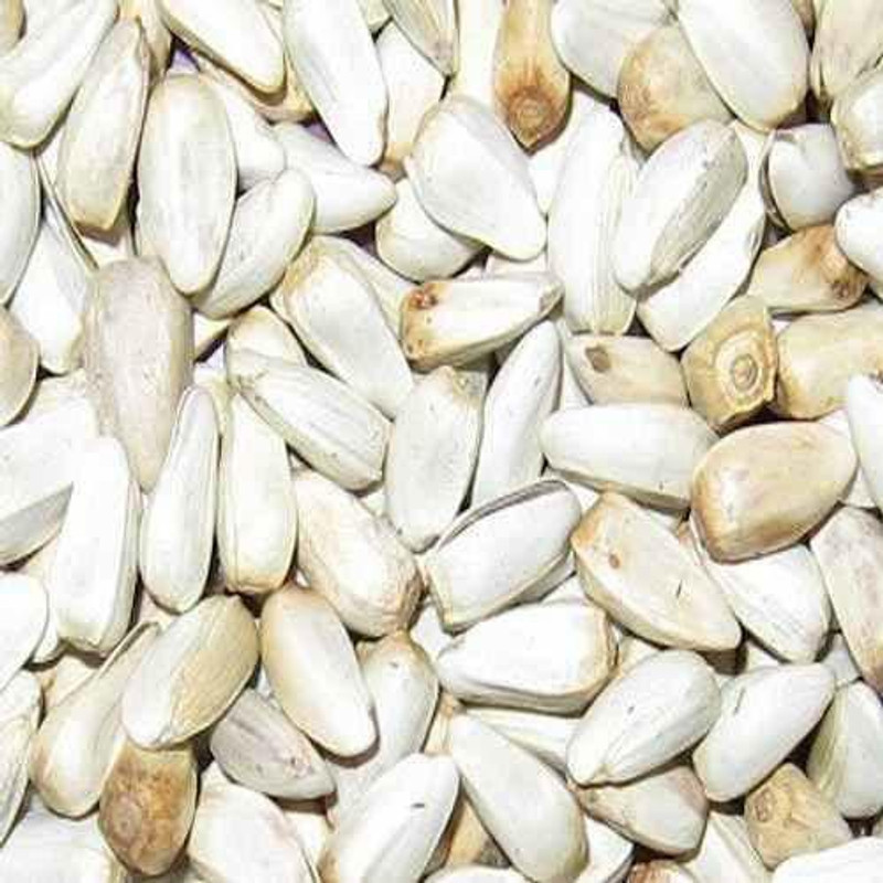 Foodies Puppies Safflower Seeds/Kusum Beej/Kardi Seed for Birds 1 kg (3x0.33 kg) Dry Adult, Young Bird Food