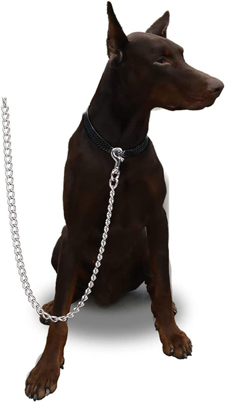Rvpaws Heavy Duty Dog Chain with Hook for All Types of Dogs 15 cm Dog Chain Leash(Silver)