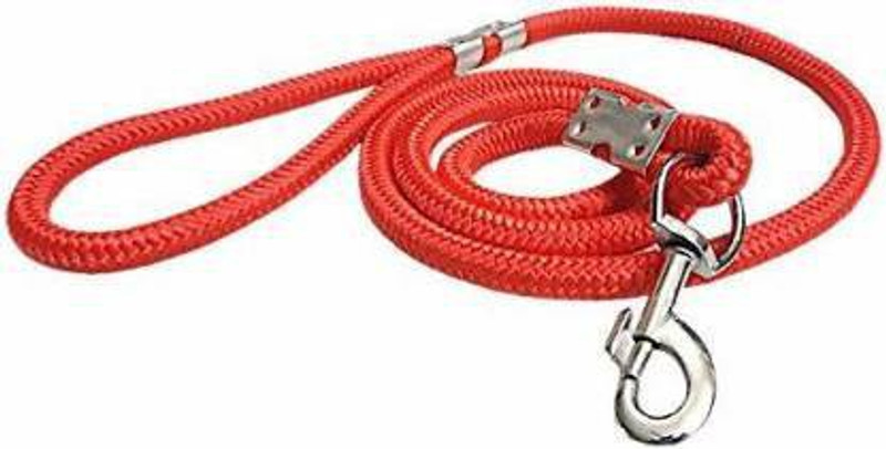 havish 160 cm Dog Martingale Leash(Red)