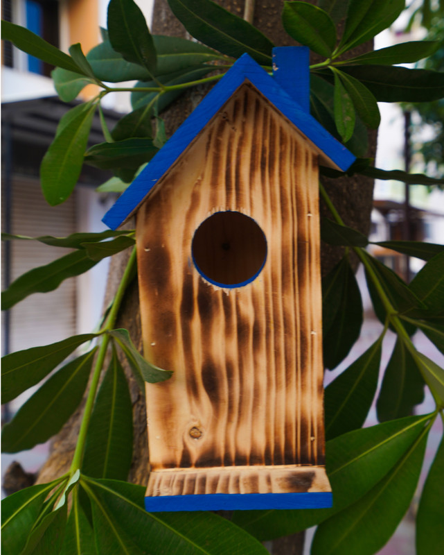 Cket Long Wooden Bird Box Blue Bird House(Hanging)