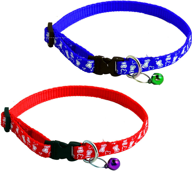 JSK Dog & Cat Everyday Collar(Medium, Multicolored)