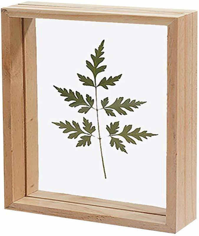 Desi Rang Frame for Leaf Décor 35 inch Frame for Leaf Décor(512 MB, Beige)