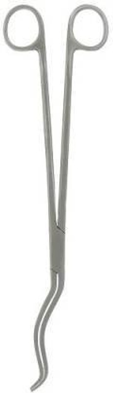 ARINEO Chital Forcep 8 inches Dressing Forceps Dressing Forceps