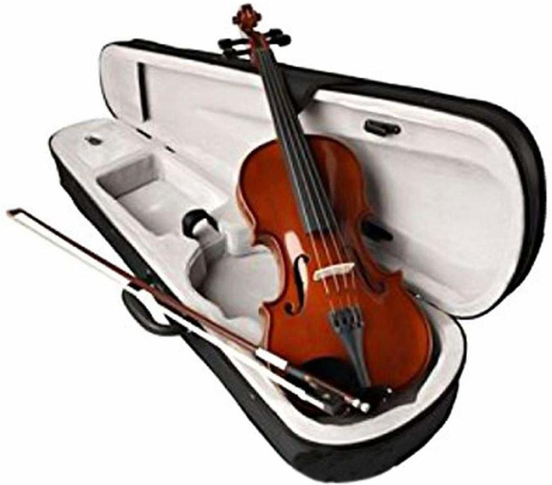 SALABLEZ SLBV894 4/4 Acoustic Violin with Bow Rosin & Hard Carrying Case ,Classical (Modern)(Brown Yes)