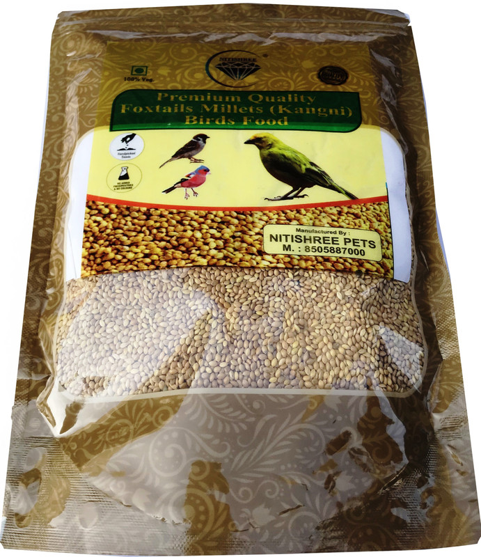 Nitishree Moti/Big/Large Size Foxtail Millet (Kangni)/ Yellow Millet(Pasco) Bird Seed/Food 1kg for Canary, Finches, Budgies, Lovebirds, Cockatiels and Small Birds - 1 KG Nuts 1 kg Dry New Born, Young, Senior, Adult Bird Food
