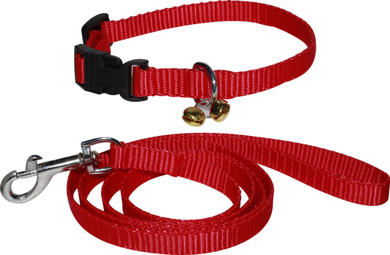 BODY BUILDING NYLON QUALITY RED COLOR DOG COLLAR BELT,FOR YOUR PUPPY & CAT Dog Collar & Leash(Extra Small, Red)