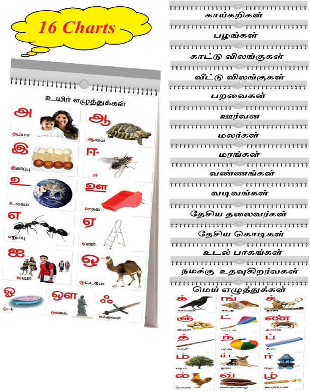 SA Enterprise Tamil Chart for Kids ( 16 Charts ) | Size 37 cm X 48 cm : Children Spiral Wall Picture Chart | Fruits, Vegetables, Shapes, Tamil vowels Alphabets, Birds, Colors, Flowers, Animals(Multicolor)