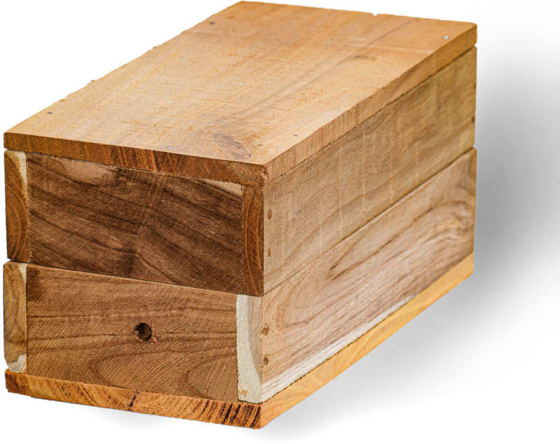 Agri Dot Bug Box(Wooden)