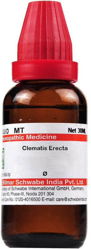 Dr.Willmar Schwabe India Cynara Scolymus Q Mother Tincture(30 ml)