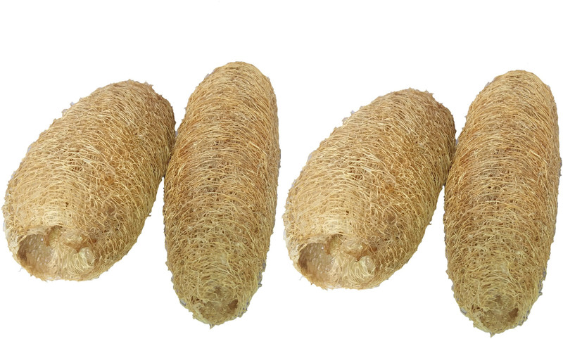 Das Departmental Store Loofah(Pack of 4, Beige)
