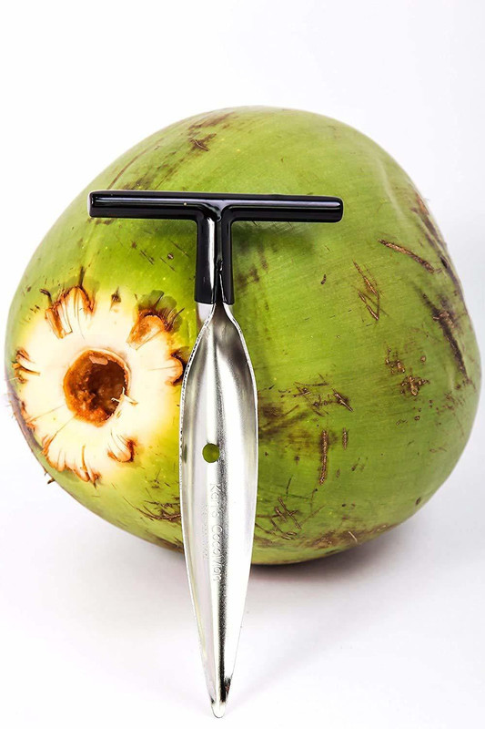 divinezon 1 Pc Stainless Steel Knife Stainless Steel Coconut Opener Tool