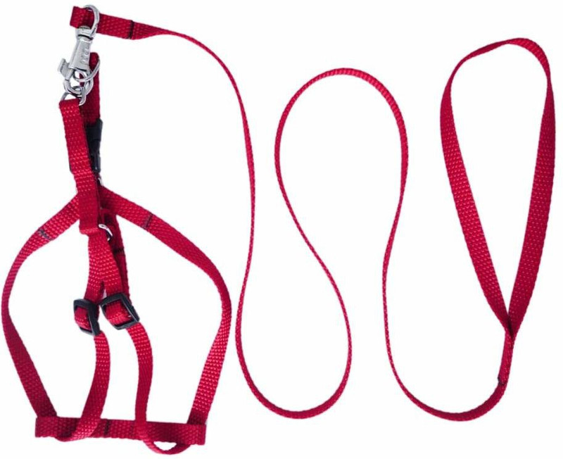 4Ever Plain Dog Collar Charm(Red, Square)
