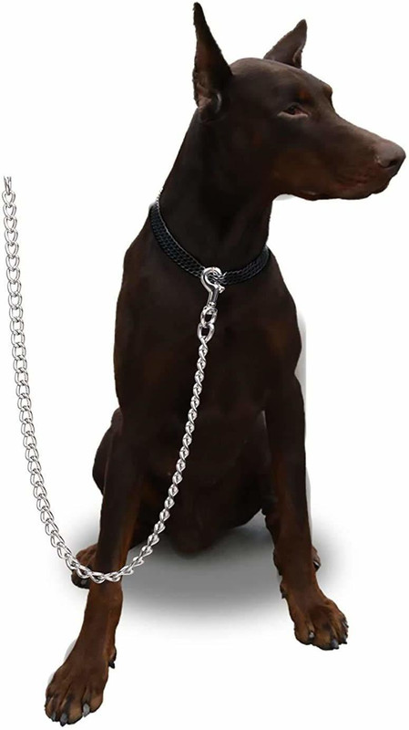 Yucky 12 number 190 cm Dog Chain Leash(Silver)