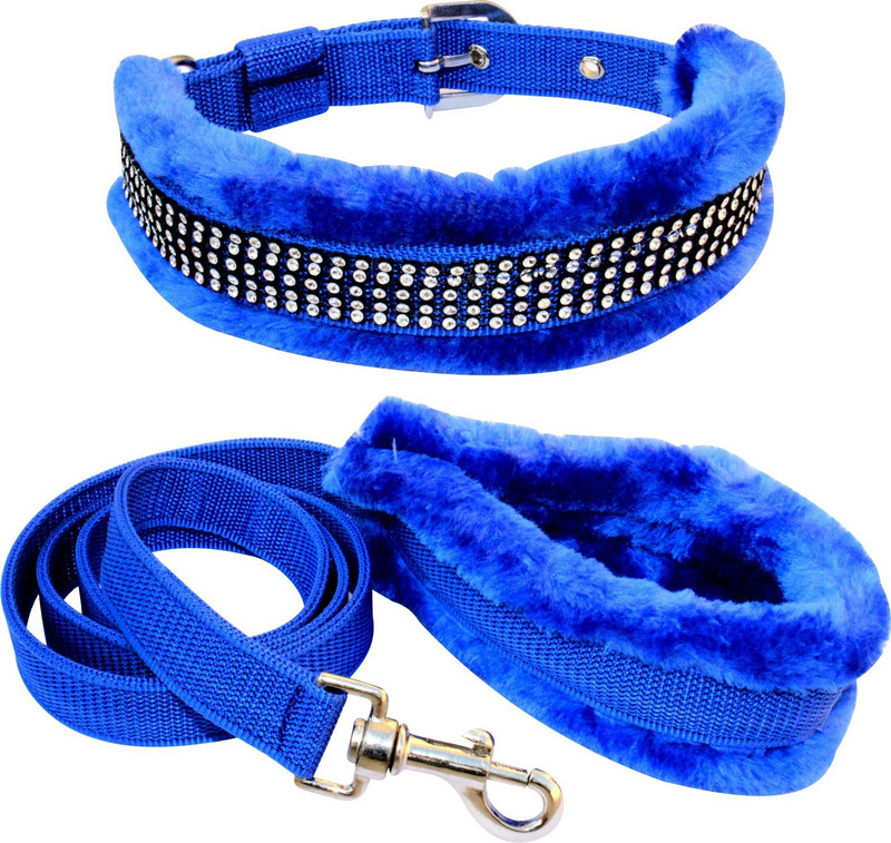 BODY BUILDING Dog Belt Combo of 1 inch Blue Fur Padded Dog Collar with Dog Leash Specially for Medium Breed Dog Collar & Leash(Medium, Blue Fur 1)
