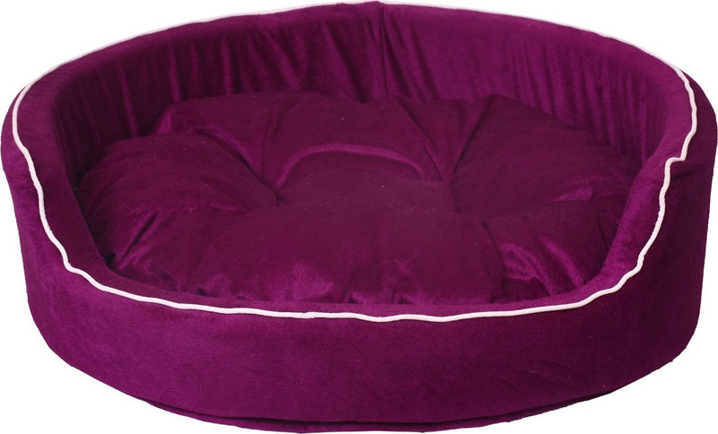 Slatters Be Royal Store PremiumQuality Velvet Luxury Washable DOG Sofa For All Season Sleeping CatPuppy S Pet Bed(Purple)
