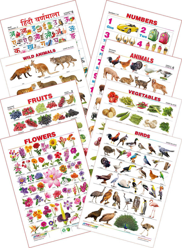 Spectrum Kid's 1st Learning Charts [S] : Set 8 (Hindi Varnamala, Numbers 1 to 10, Wild Animals, Domestic Animals, Fruits, Vegetables, Flowers & Birds)(Multicolor)