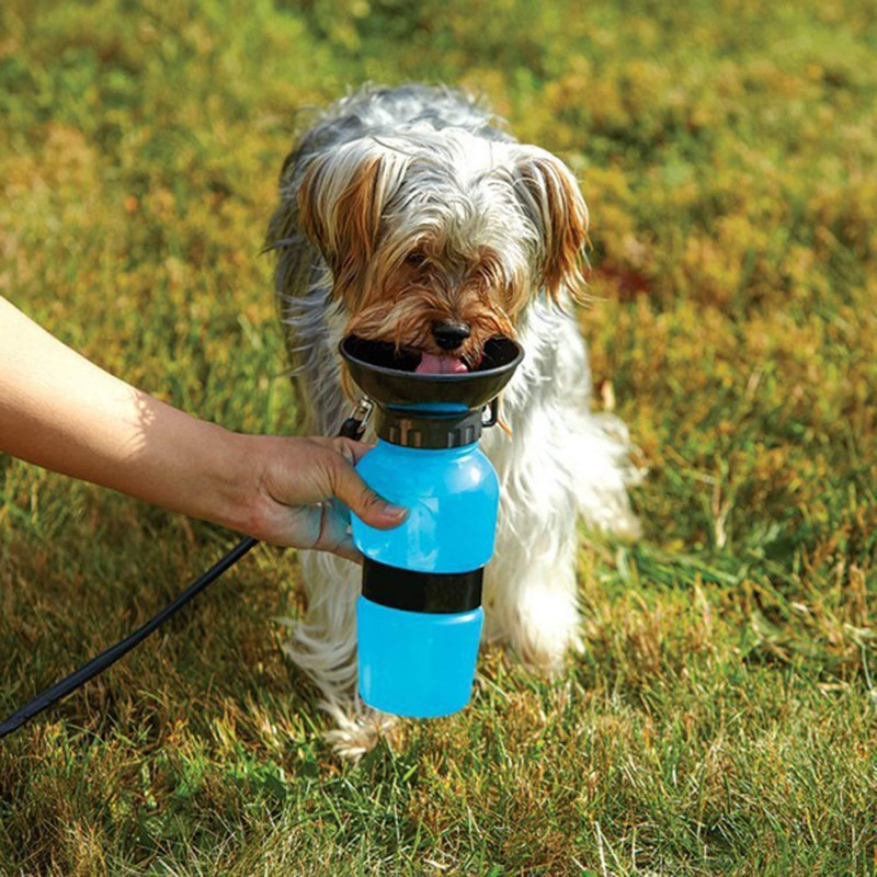 jpdsrn Classic Plastic Pet Bowl & Bottle(500 ml Blue)