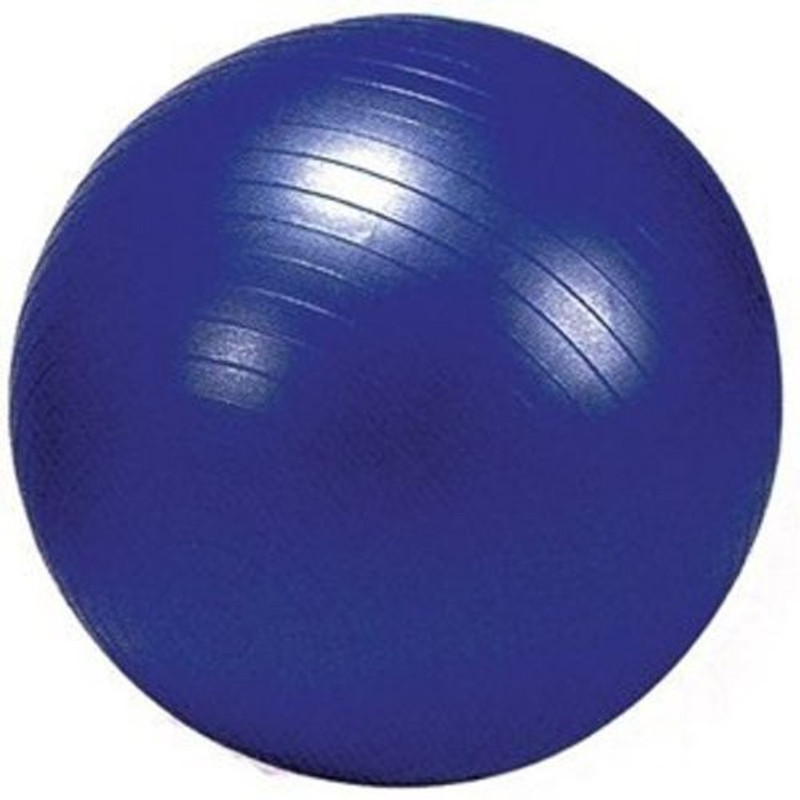 ITALISH Total Body Exercise Workout Anti Burst Gym Ball with Foot Pump Gym Ball(With Pump)
