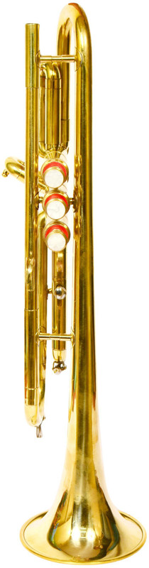 SKYLARK INTERNATIONAL TRMP04 Bb Trumpet(GLODEN POLISH)
