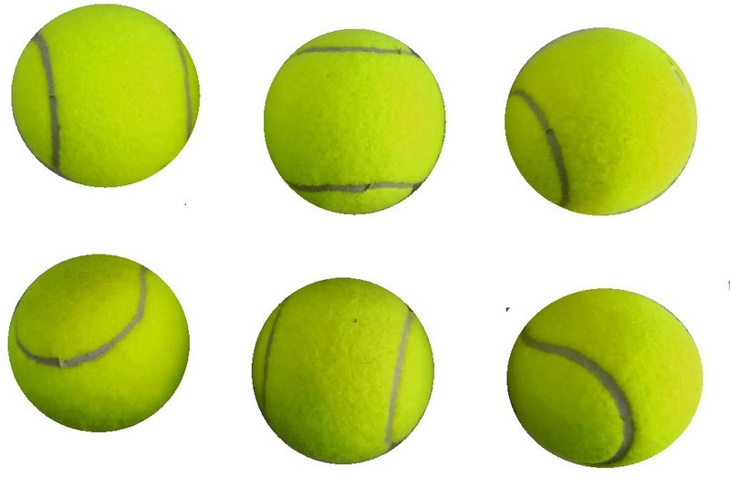 manoj sports WOODS 6 PACK Standard Bail(Pack of  6)