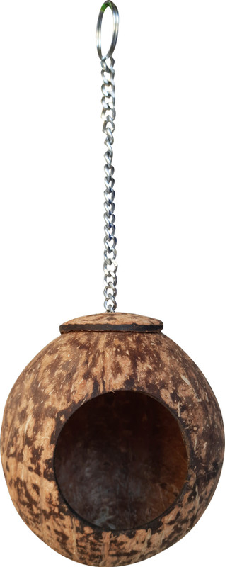 cool boss CBCO123 Bird Play Stand