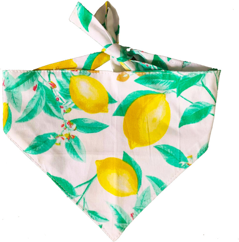 For The Fur Kids Bandana for Cat(Colourful)