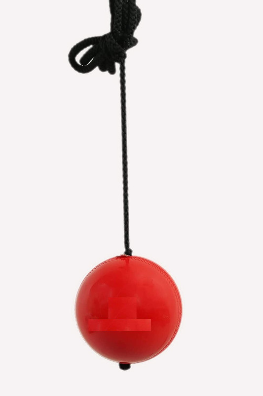 Spocco ™Cricket Practice Hanging Ball with Durable Cord for Knocking Stroke Cricket Training Ball(Standard, Pack of 1)