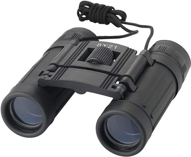 DITCAFOS Professional 8 * 21 HD Binoculars Folding Powerful Lens Portable Binocular Telescope with Pouch Outdoor Binoculars for Long Distance, Bird Watching, Wildlife for Adults Binoculars(10 mm , Black)