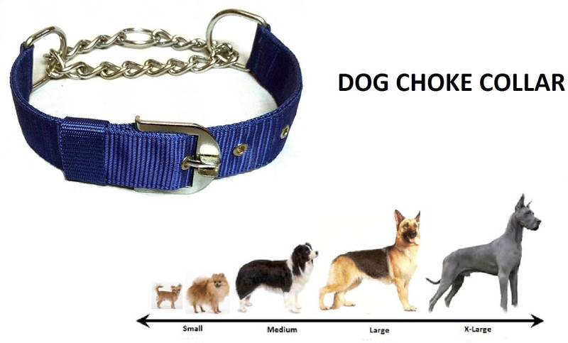 FONDLE Dog Choke Chain Collar(Medium, Blue)