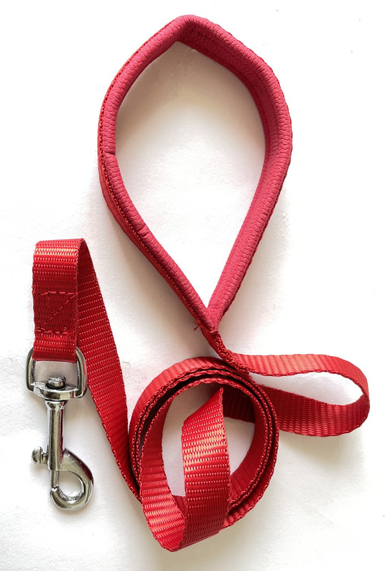 Regiis 49 cm Dog Strap Leash(Red)