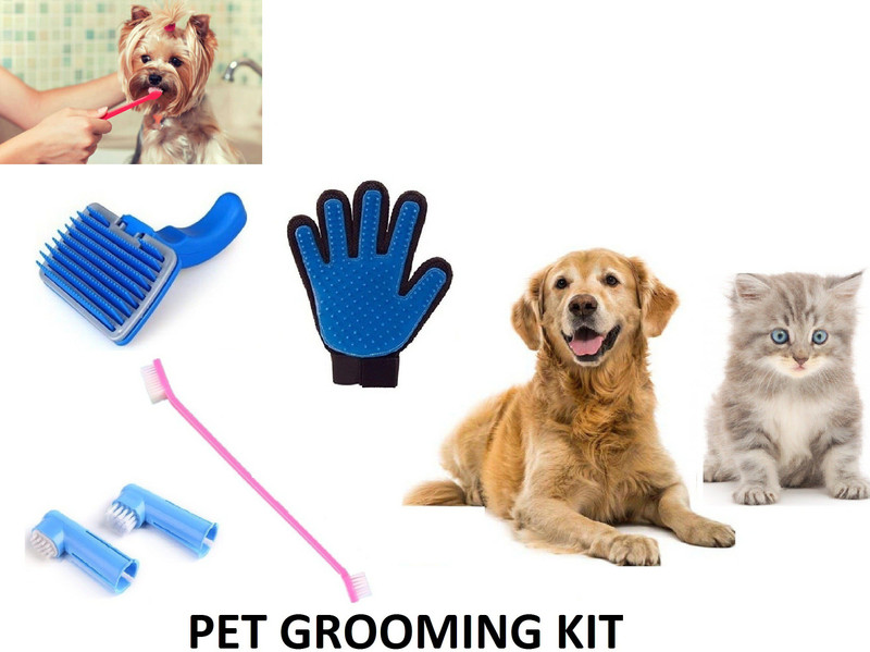 Hachiko Grooming Gloves for Dog, Cat, Hamster(Blue, Black, Large)
