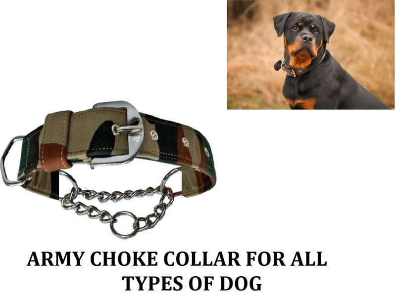 Hachiko Premium Quality Dog Army Printed Choke Collar For All Medium Breed Dogs. Dog Choke Chain Collar(Medium, Multicolor)